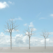 model trees